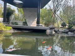 -雅苑中餐厅