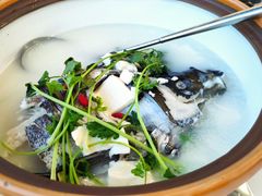 -宝荣鱼馆·临湖之宴(千岛湖店)