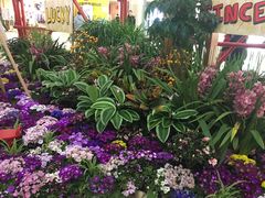 -凯德广场(学府店)