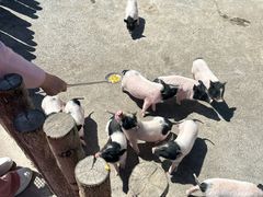 -水上乐园·欢乐世界