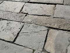 -龙潭水乡