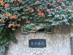 -趵突泉景区