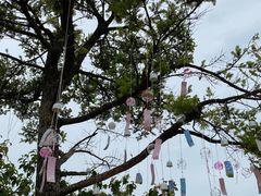 -百色大石围天坑群