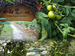 -厦门悦华酒店