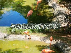 -红山森林动物园
