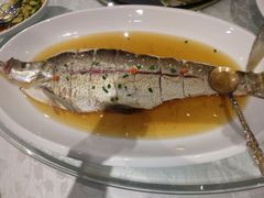 -福禧酒窖·中餐厅 (万柳店)