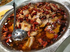 -七菜馆·东北菜·蒸饺(文体路店)