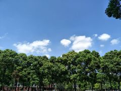 -四川大学(望江校区)