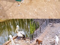 -济南野生动物世界