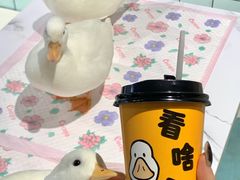 -RU DUCK柯尔鸭公社·撸鸭俱乐部·羊驼·小香猪