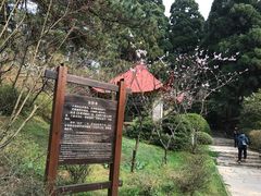 -庐山风景区花径公园