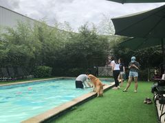 -汪说喵讲宠物乐园宠物酒店(红星美凯龙店)