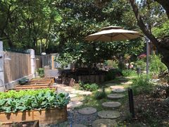 -谷咖啡·鲜花绿植花园餐厅