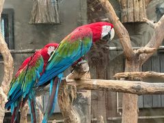 -大连森林动物园