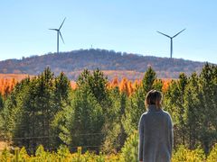 -塞罕坝国家级自然保护区