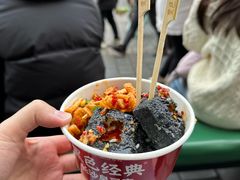 -黑色经典臭豆腐·湖南特产(坡子街店)