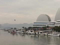 -野狸岛
