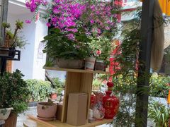 -尼玛藏家风味园(阿山食城店)