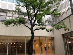 -茑屋书店(天目里店)