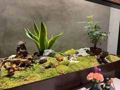 -许家菜(DT51店)