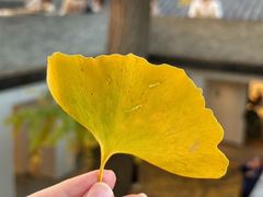 -自如ZSPACE四合院艺术餐厅