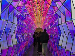 -旧金山现代艺术博物馆