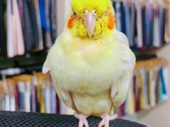-雨林宠物医院 非犬猫异宠专科