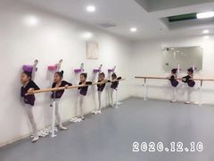 -西安小天鹅艺术团(金花路校区)