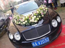 -蚂蚁婚车