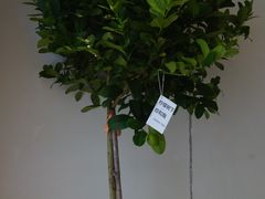 -fishtank鱼缸咖啡(三山街店)