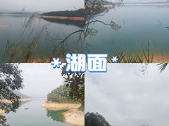 -广州市流溪河国家森林公园