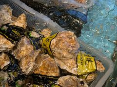 -怀德酒楼·粤菜·海鲜·茶点(宝安国际机场店)