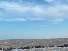 -南汇嘴观海公园