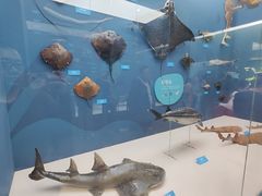 -国家自然博物馆