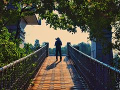 -东湖落雁景区