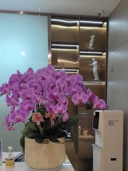 -杭州米兰柏羽医疗美容医院