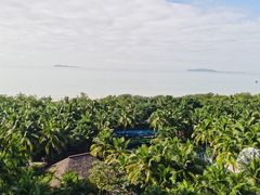 -三亚湾海居铂尔曼度假酒店