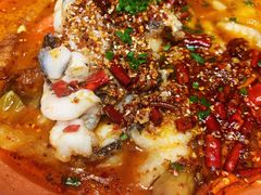 香辣酸菜黑鱼-云海肴·汽锅鸡·云南菜(天山百盛优客店)