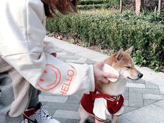 -PETKIT小佩宠物(古北店)