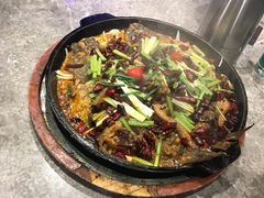 -老板恋上鱼(恒隆广场店)