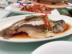 -不倒翁·徽天下名菜楼(马鞍山路店)