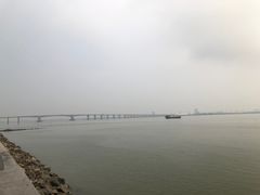 -大湾区中央湿地公园
