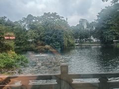-荔湾湖公园