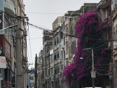 -外沙疍家棚酒楼