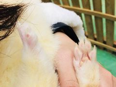 -藦茜花园宠物主题亲子互动体验馆(国顺东路店)