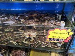 -蚝专家(北滘店)