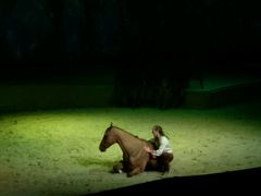 -cavalia·舞马