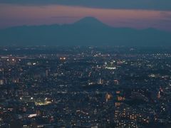 -涩谷区