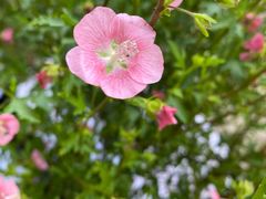 -新渝城·始于2000年(淘金店)