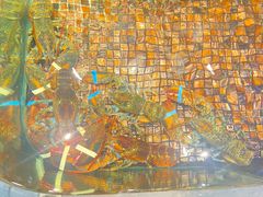 -海鲜e族(马王堆店)